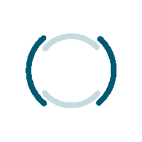 crisil-loader